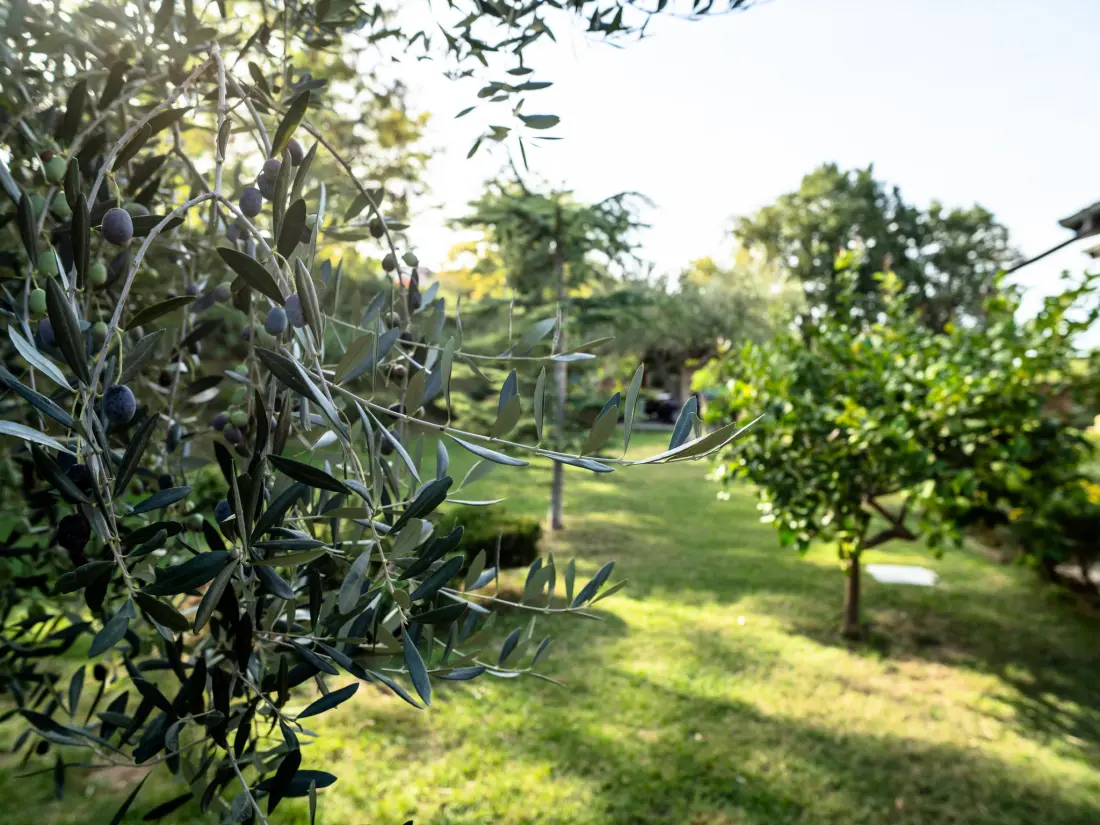 Maison de Vacances Città Sant'Angelo