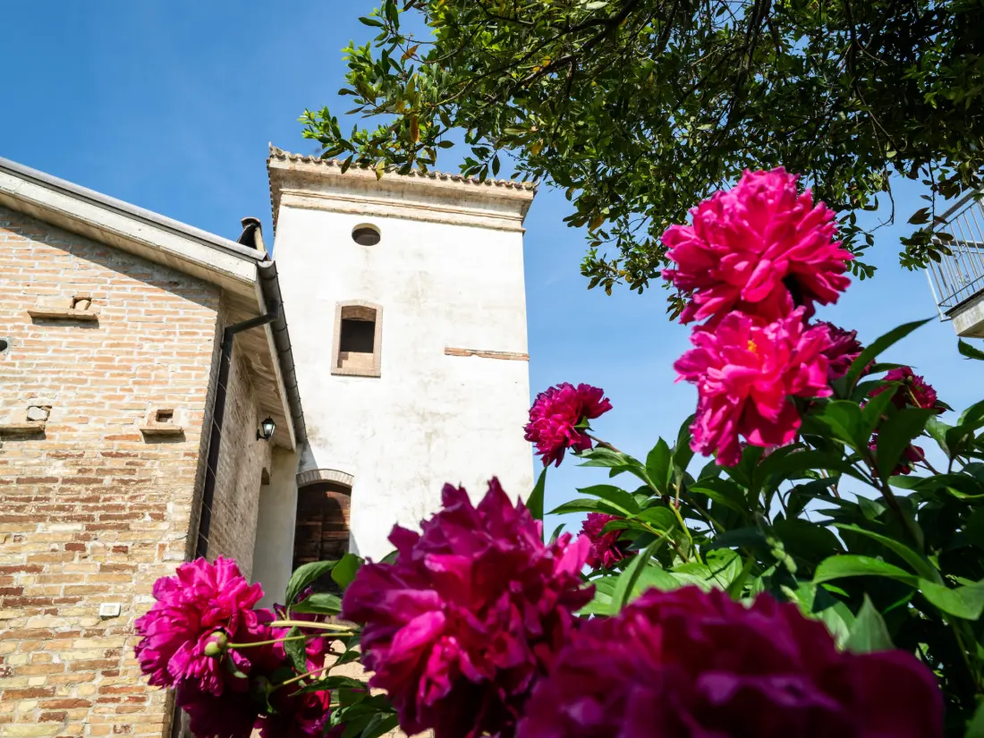 Résidence Torretta