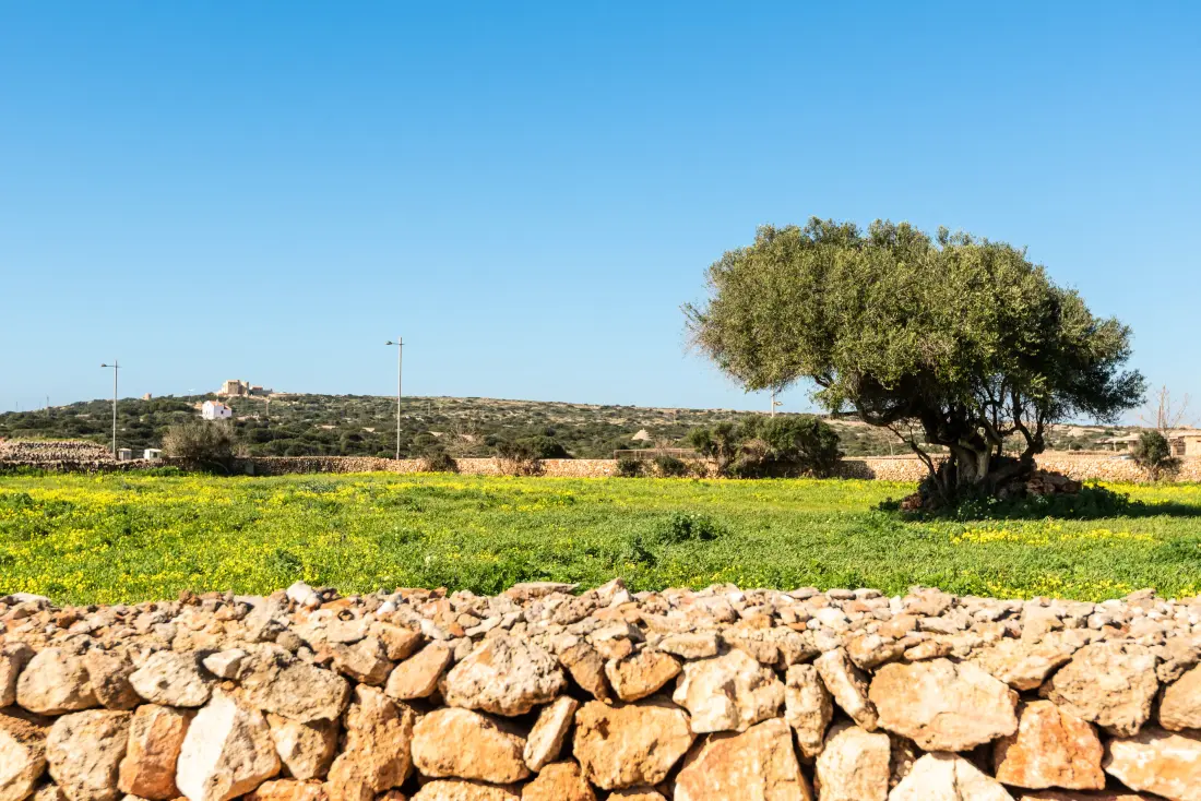 Maison à Ciutadella de Menorca