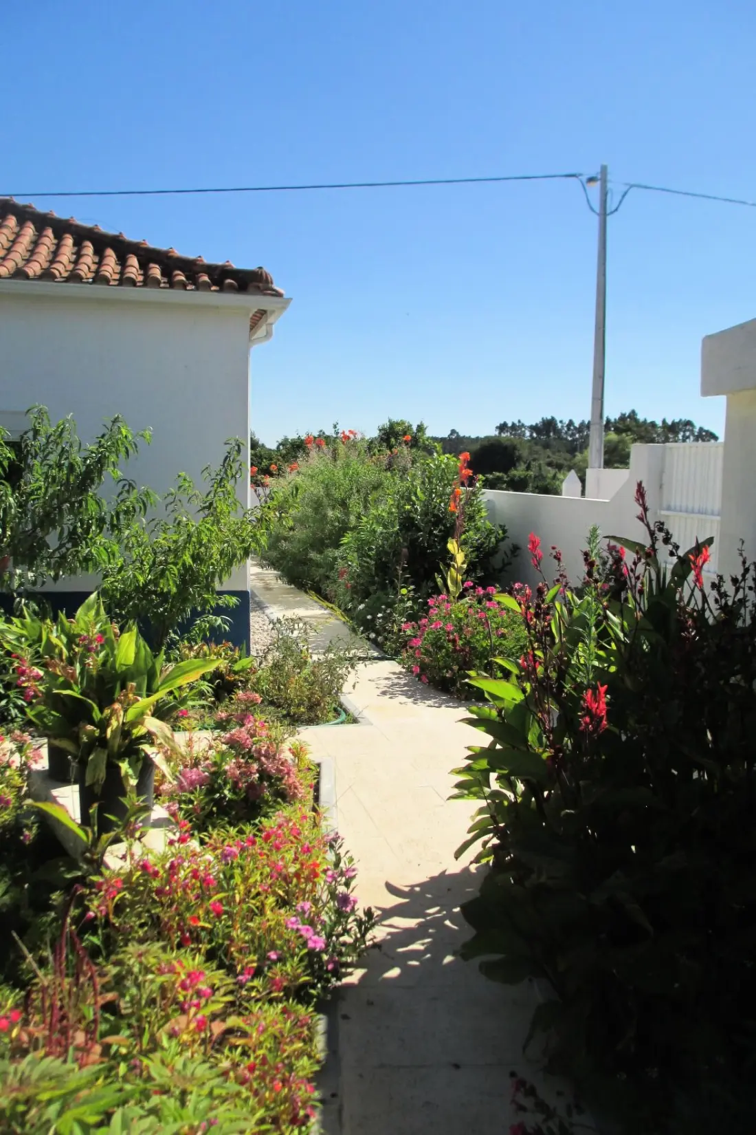 Maison de Vacances Coimbrão