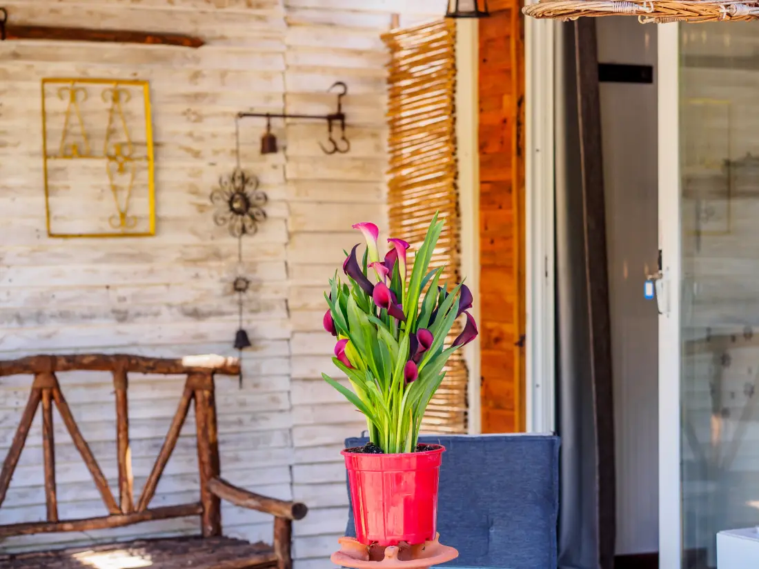 Studio à Coín