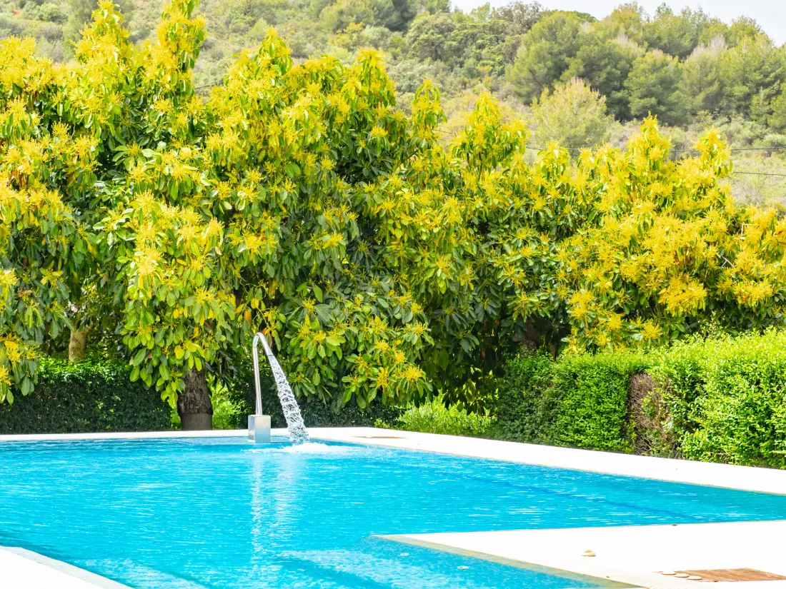 Maison à Coín