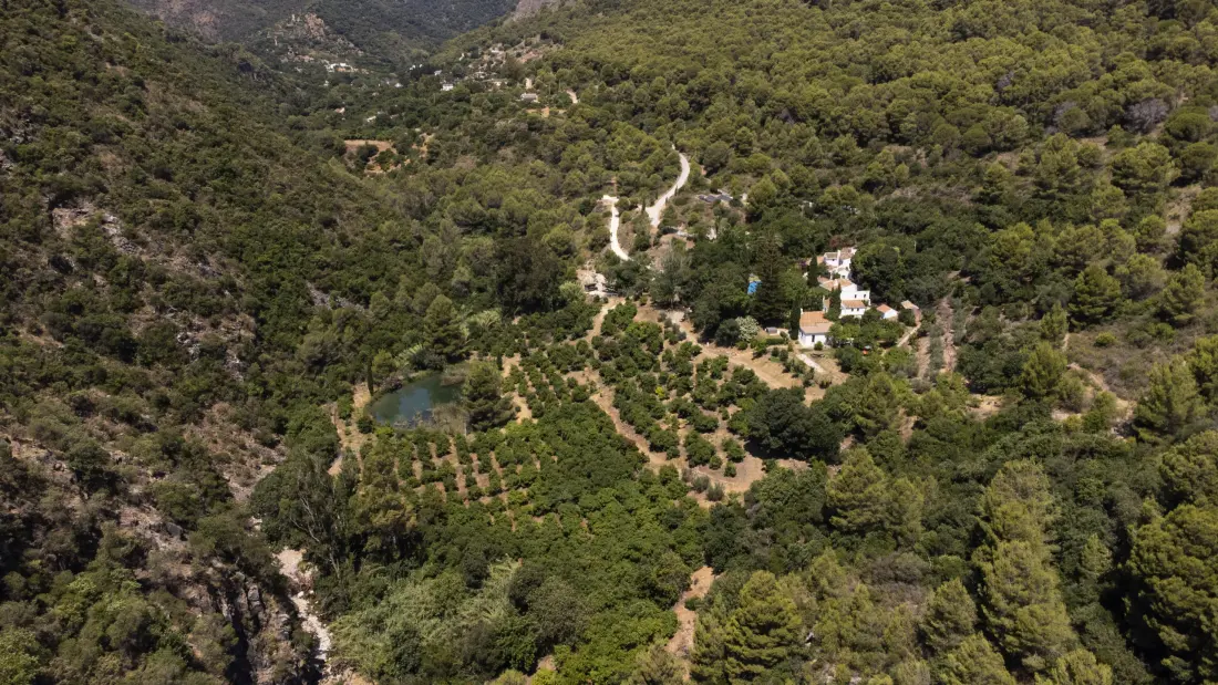 Maison à Coín