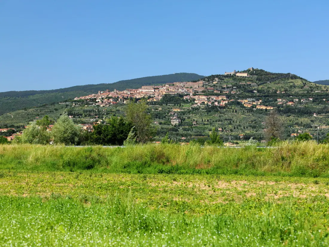 Résidence Rina
