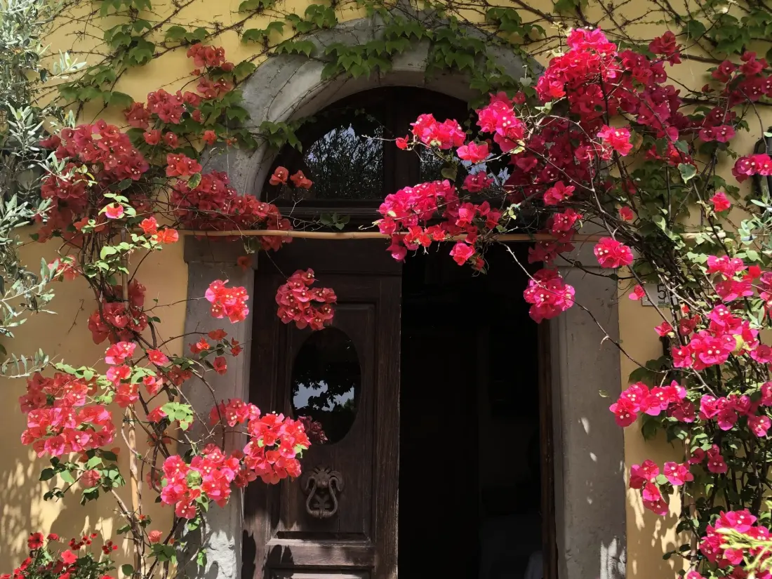 Maison de Vacances Cortona