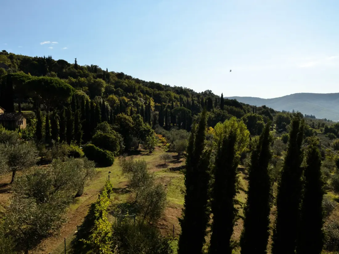Maison de Vacances Cortona