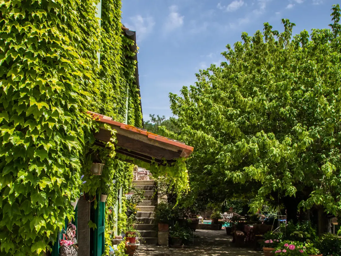 Maison de Vacances Cortona