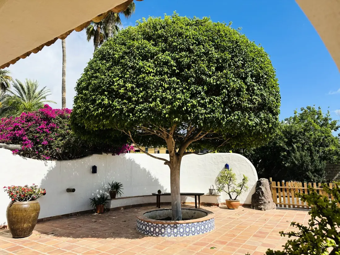 Maison de Vacances Costa Adeje