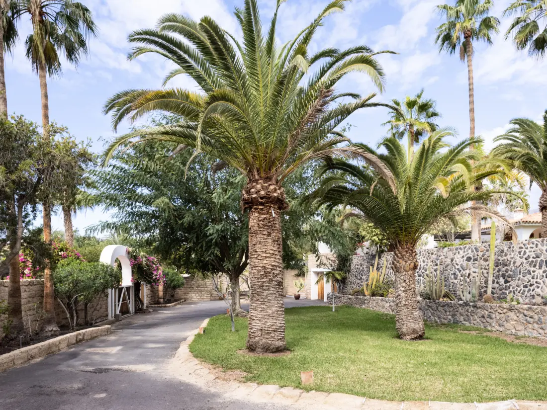 Maison de Vacances Costa Adeje