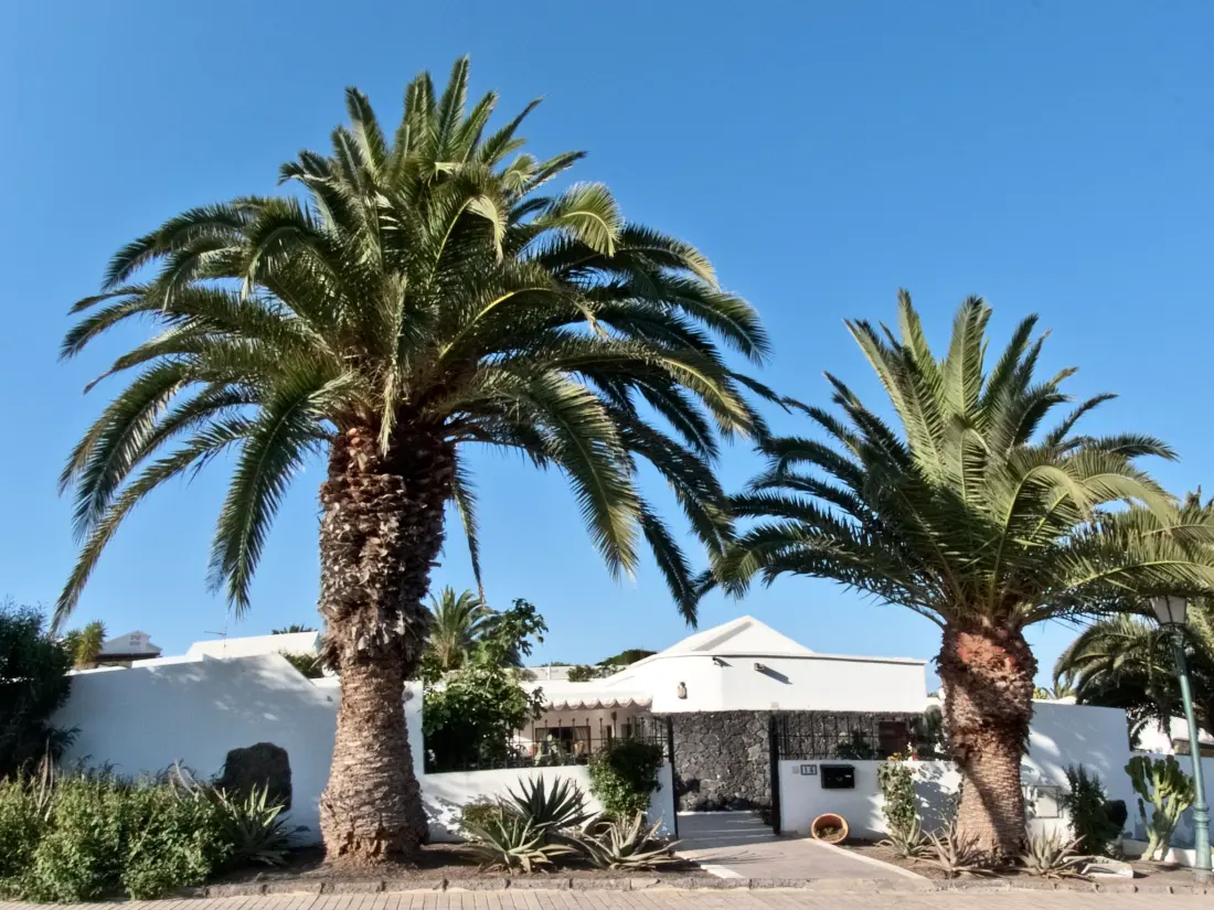 Maison de Vacances Costa Teguise