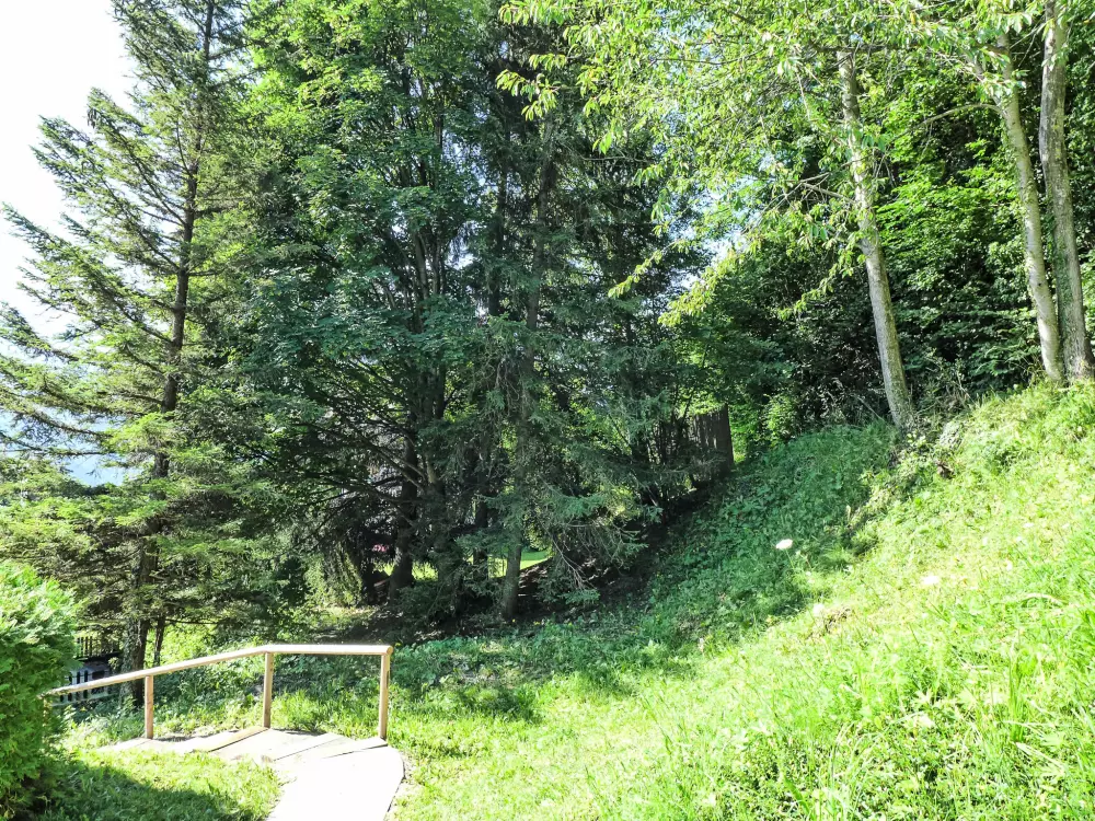 Chalet Crans-Montana