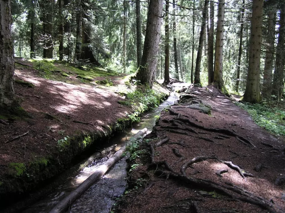 Maison de Vacances Crans-Montana