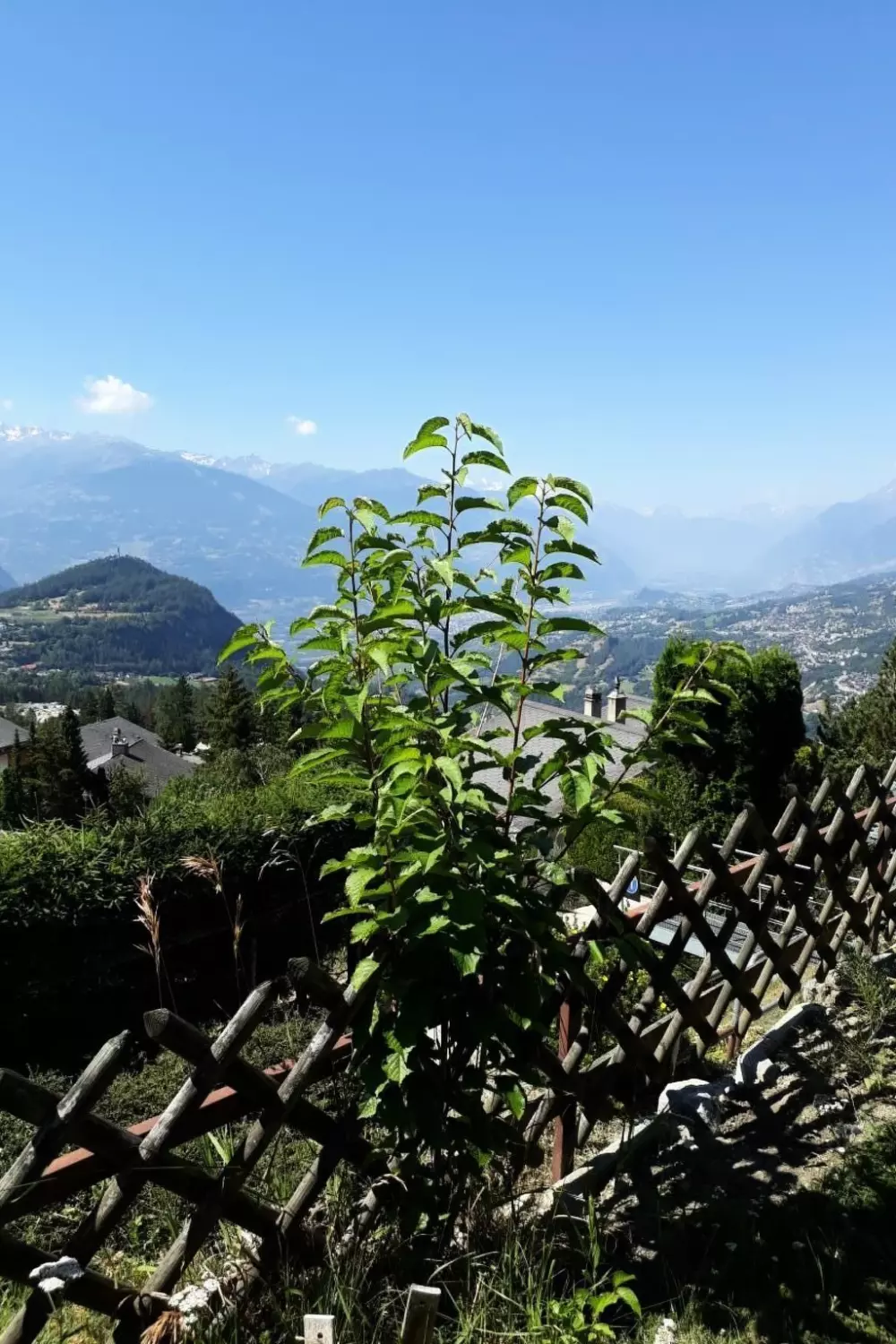 Maison de Vacances Crans-Montana