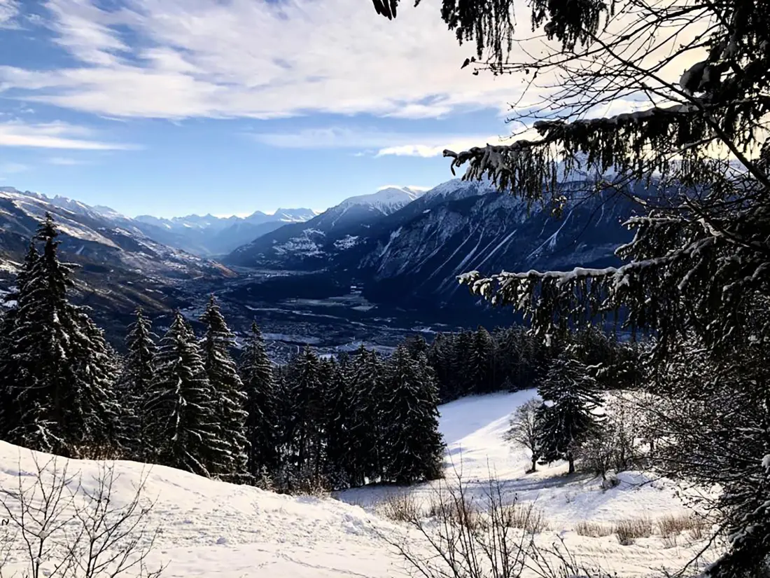 Résidence Lisière-Sud A 17