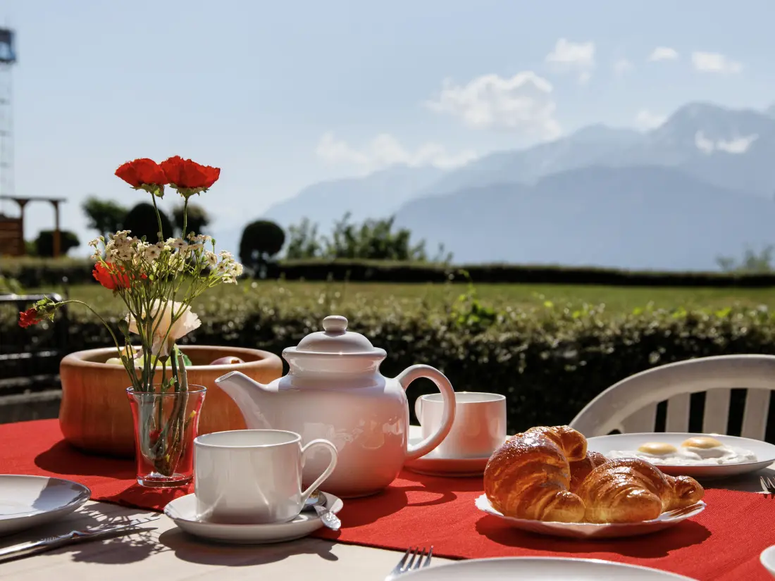 Résidence Terrasse des Alpes 2006