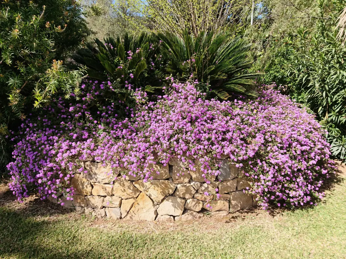 Maison de Vacances Crestatx