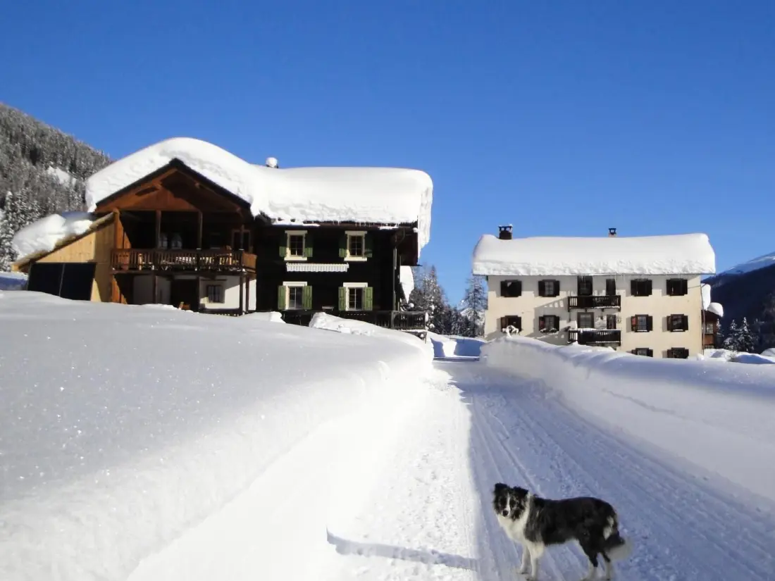 Maison de Vacances Davos