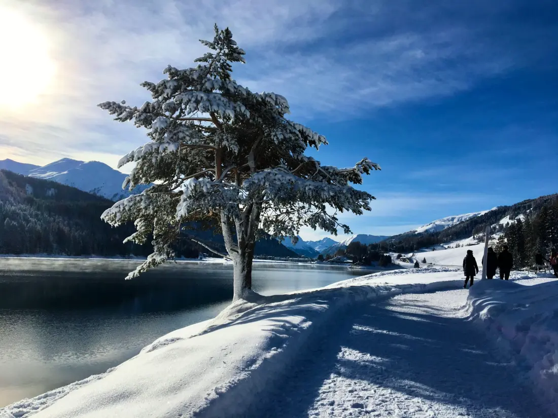 Maison de Vacances Davos