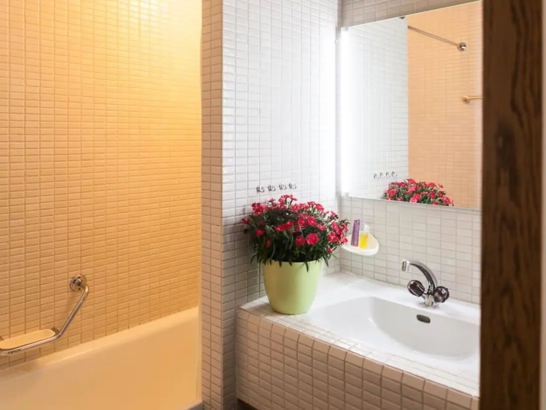 Résidence Colette 42 Appartement/Fewo, Dusche oder Bad, WC 2-Zimmerwohnung