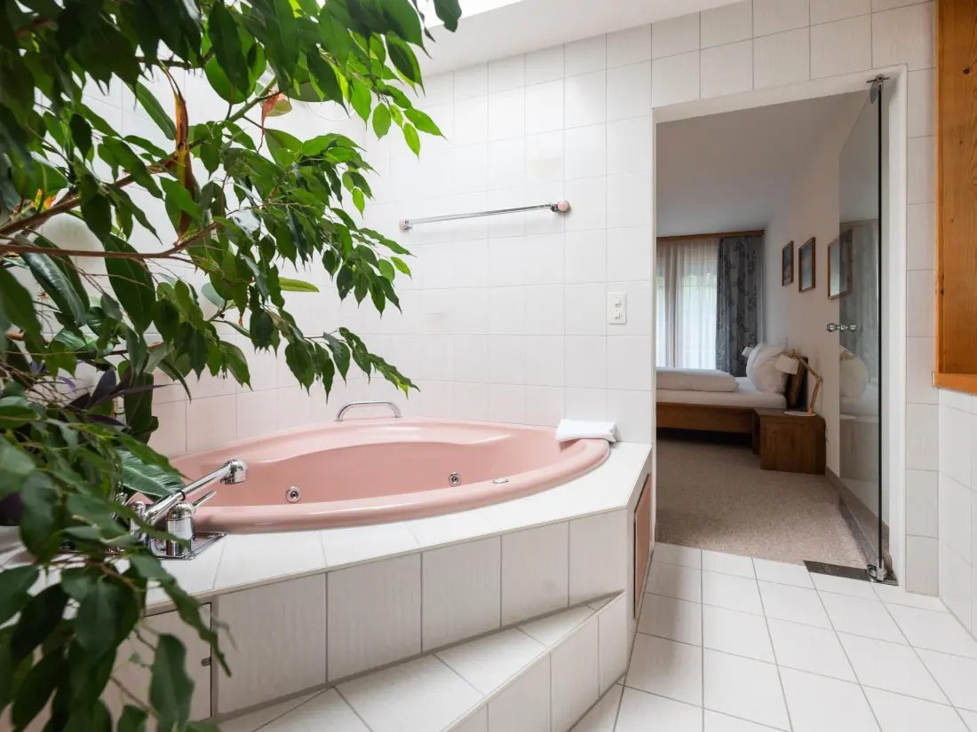 Résidence Skistrasse 8B Appartement/Fewo, Dusche oder Bad, WC 3½-Zimmerwohnung