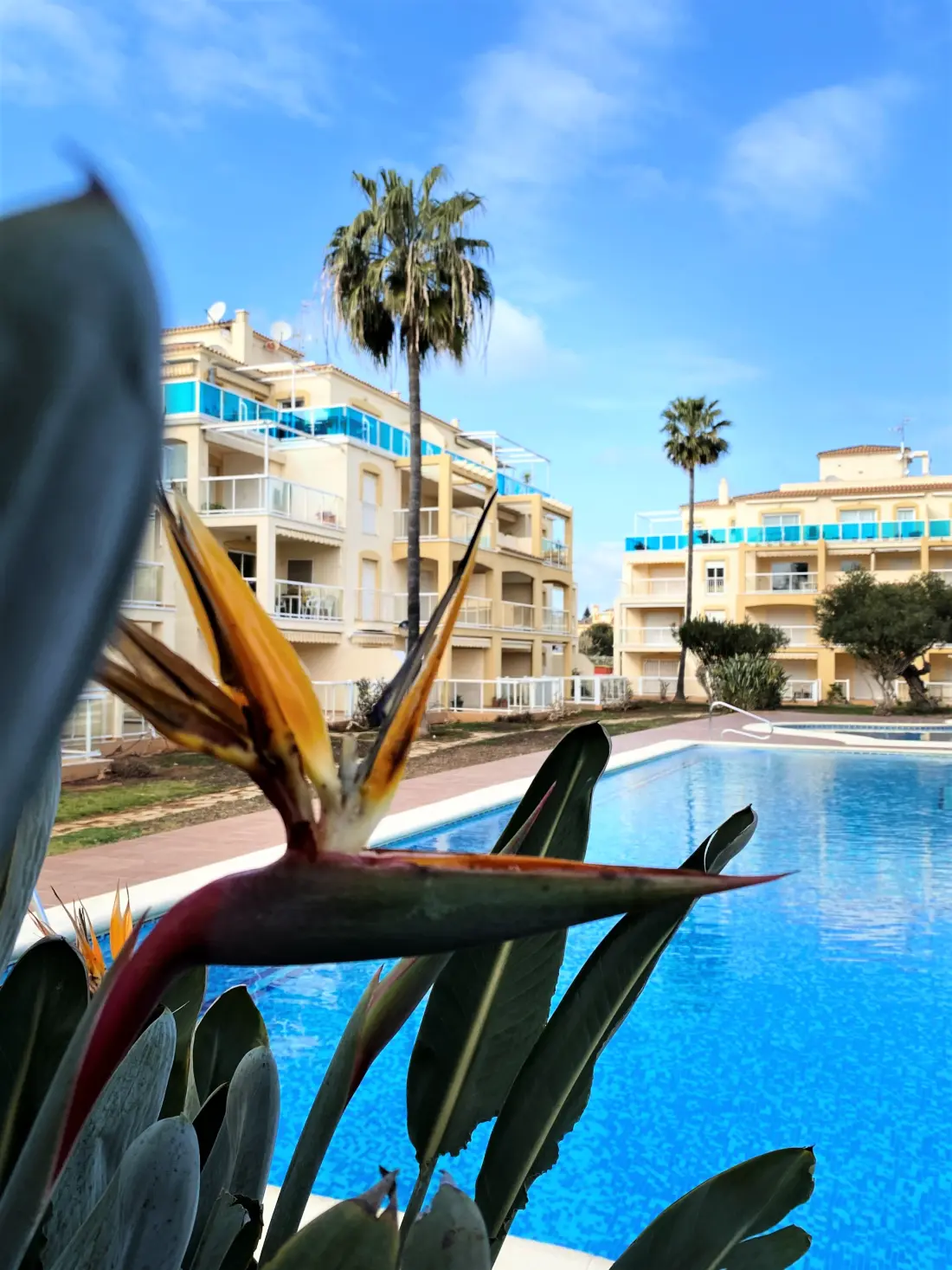 Appartements à Dénia