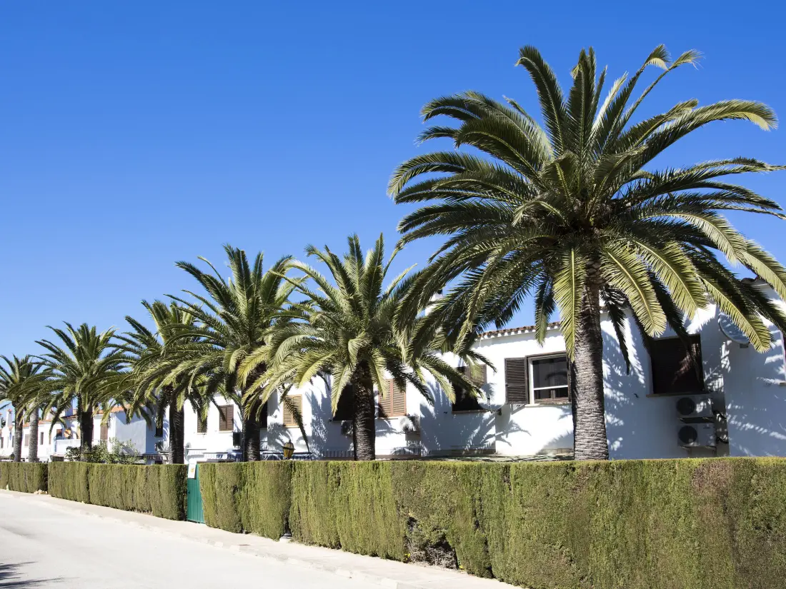 Maison de Vacances Dénia