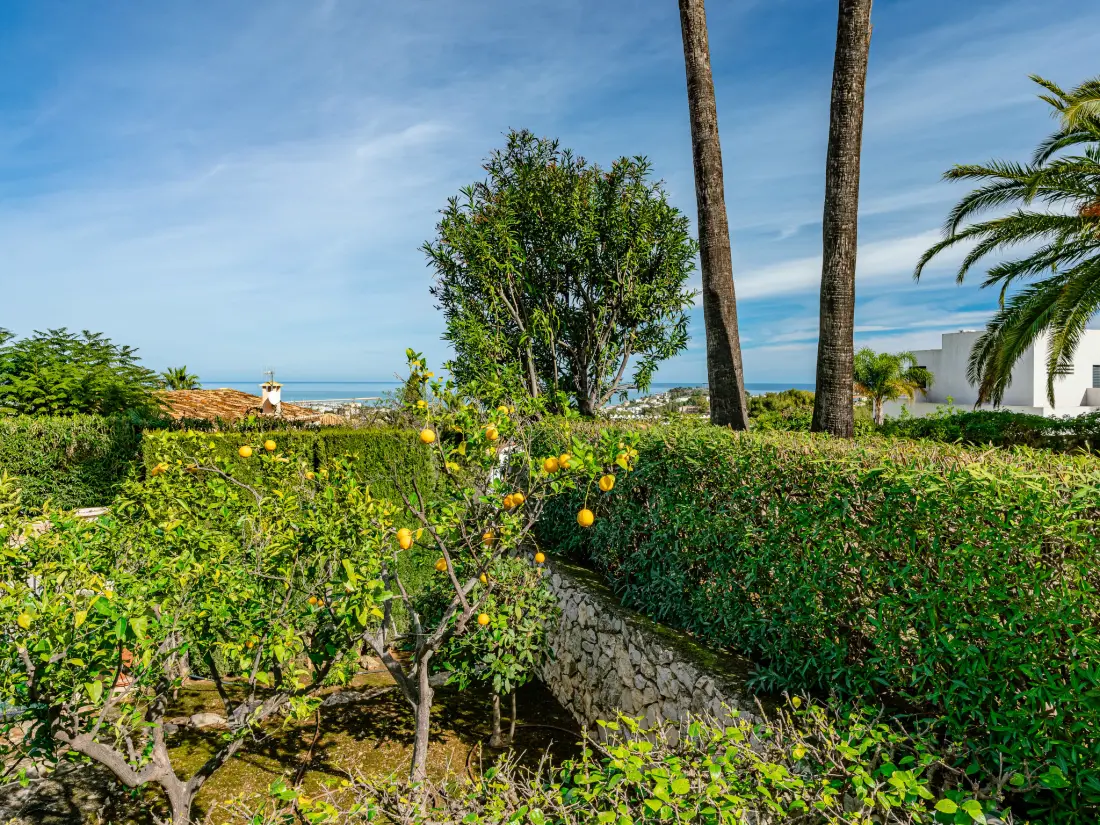 Maison de Vacances Dénia