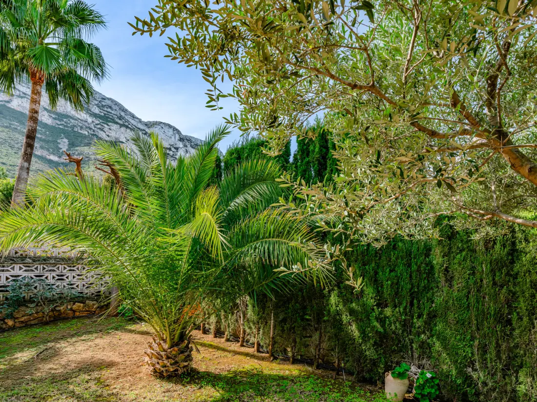 Maison de Vacances Dénia