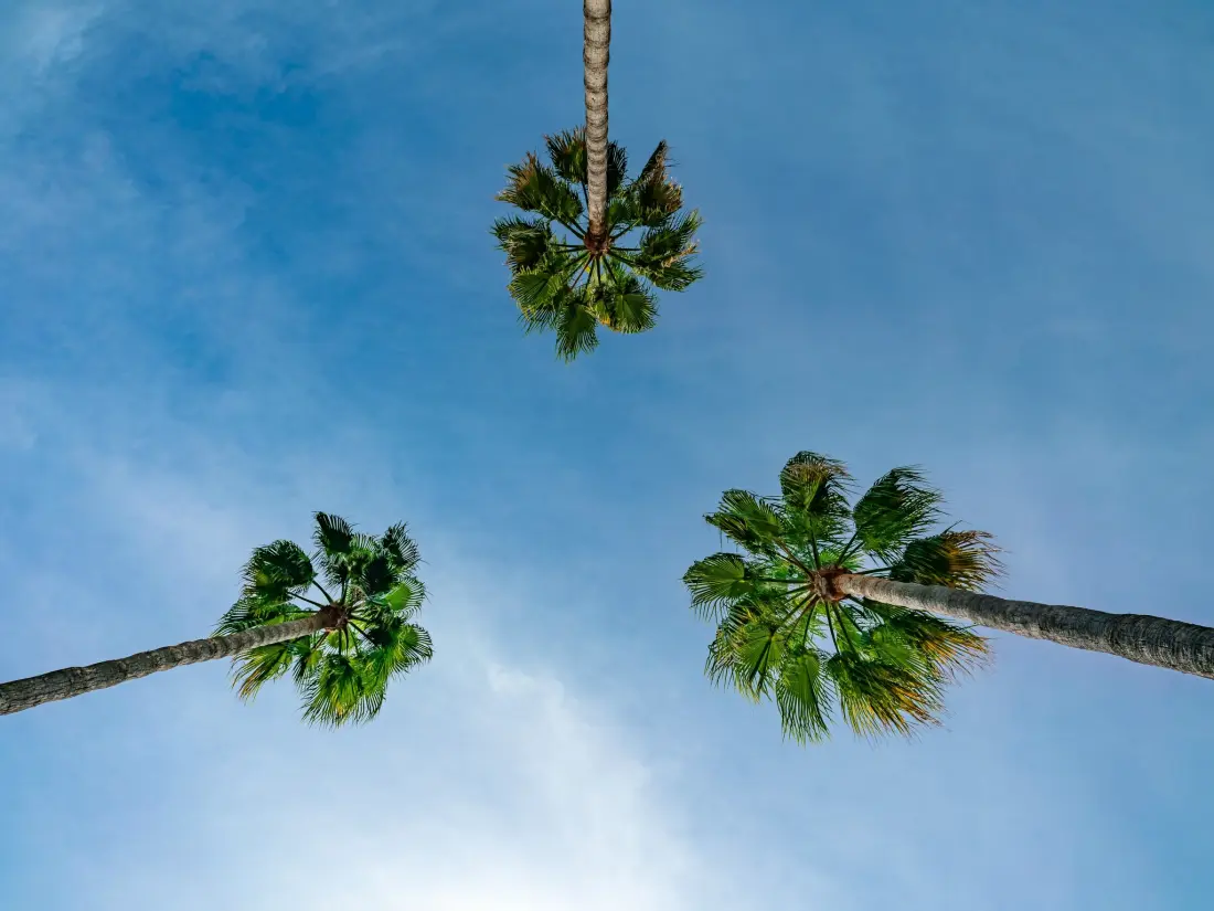 Maison de Vacances Dénia