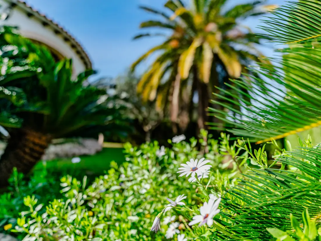 Maison de Vacances Dénia
