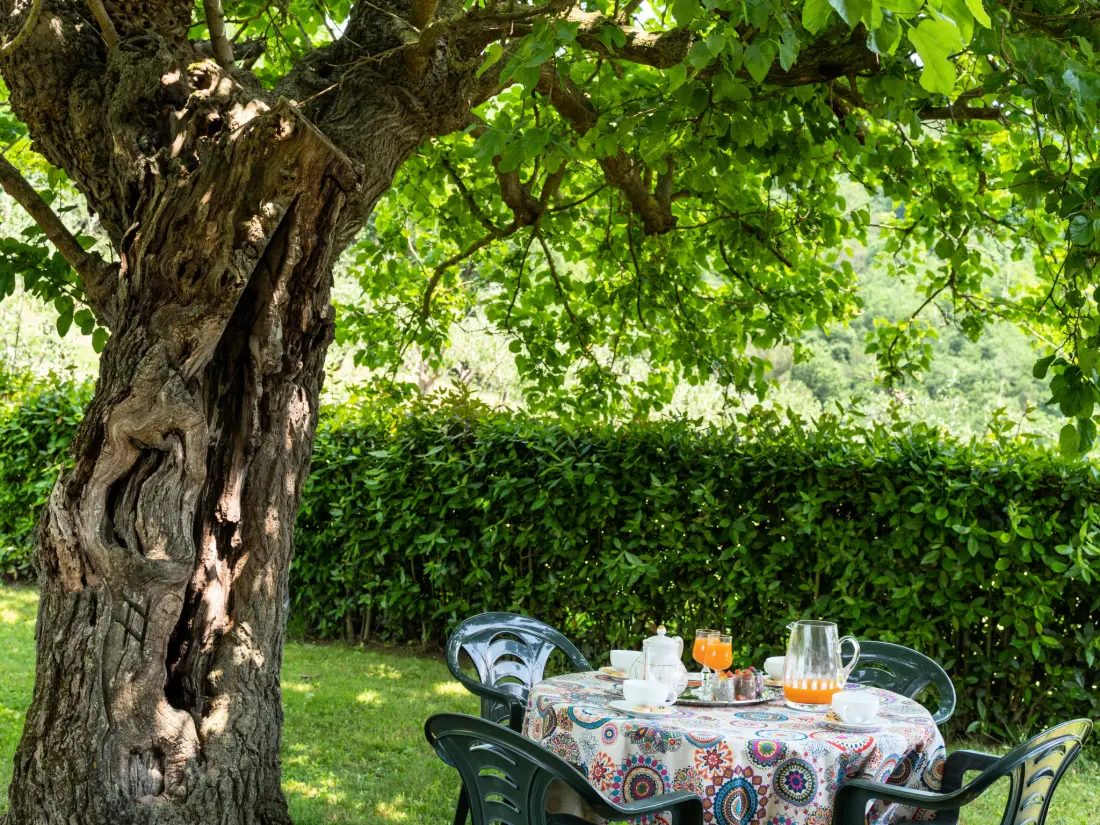 Maison de Vacances Dicomano
