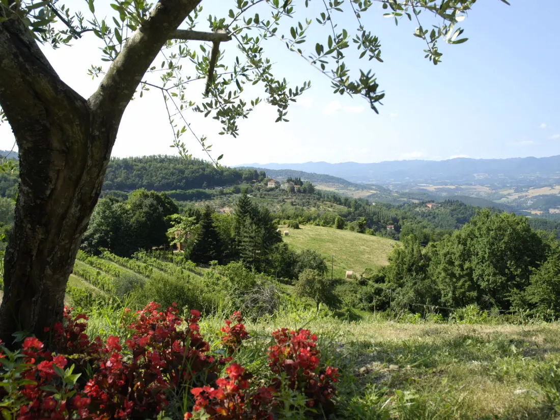 Résidence La Fonte