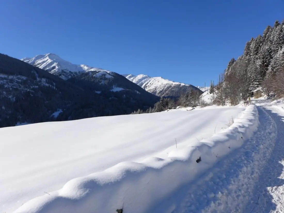 Maison de Vacances Disentis