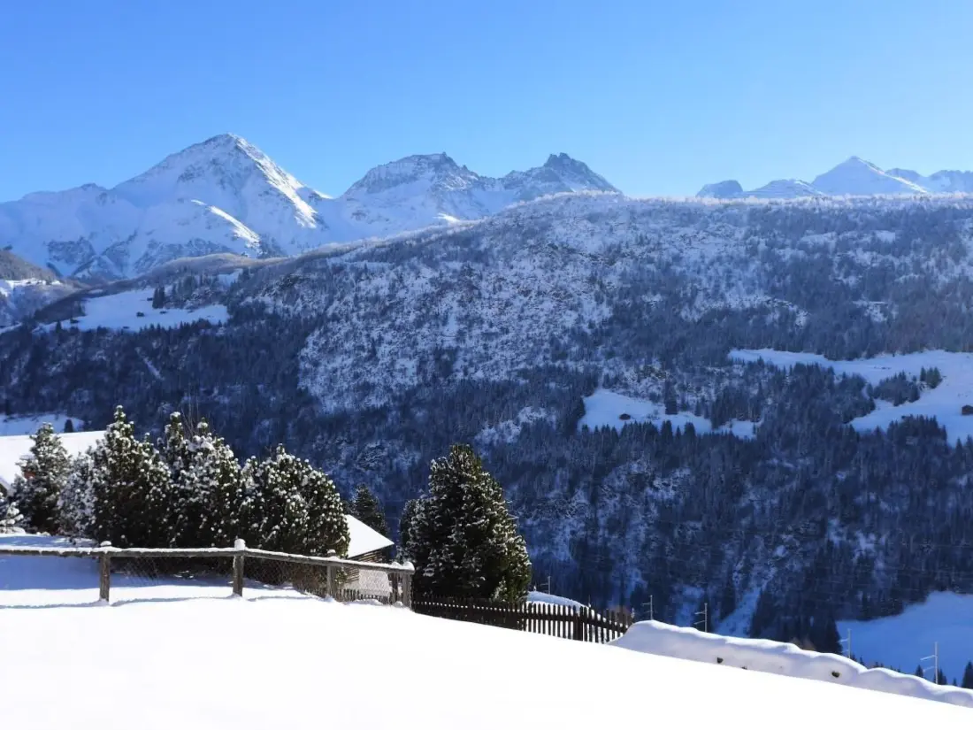 Maison de Vacances Disentis