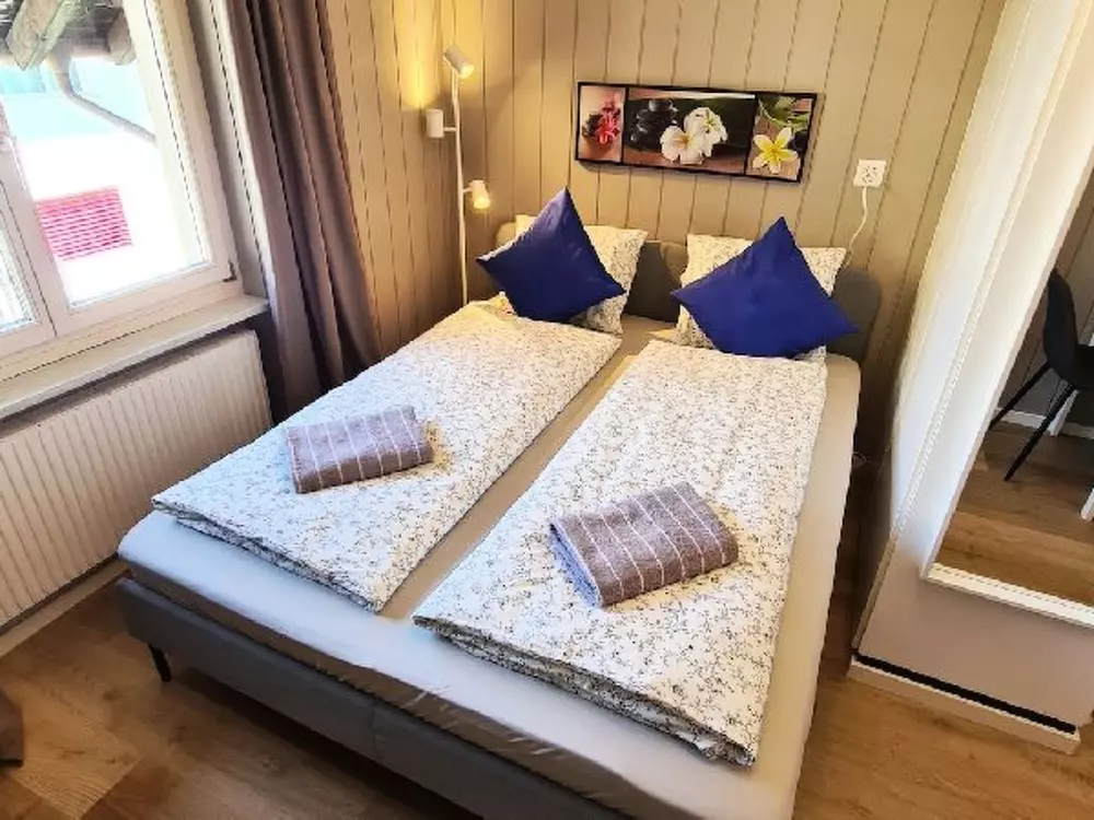 Résidence Alpine Studio