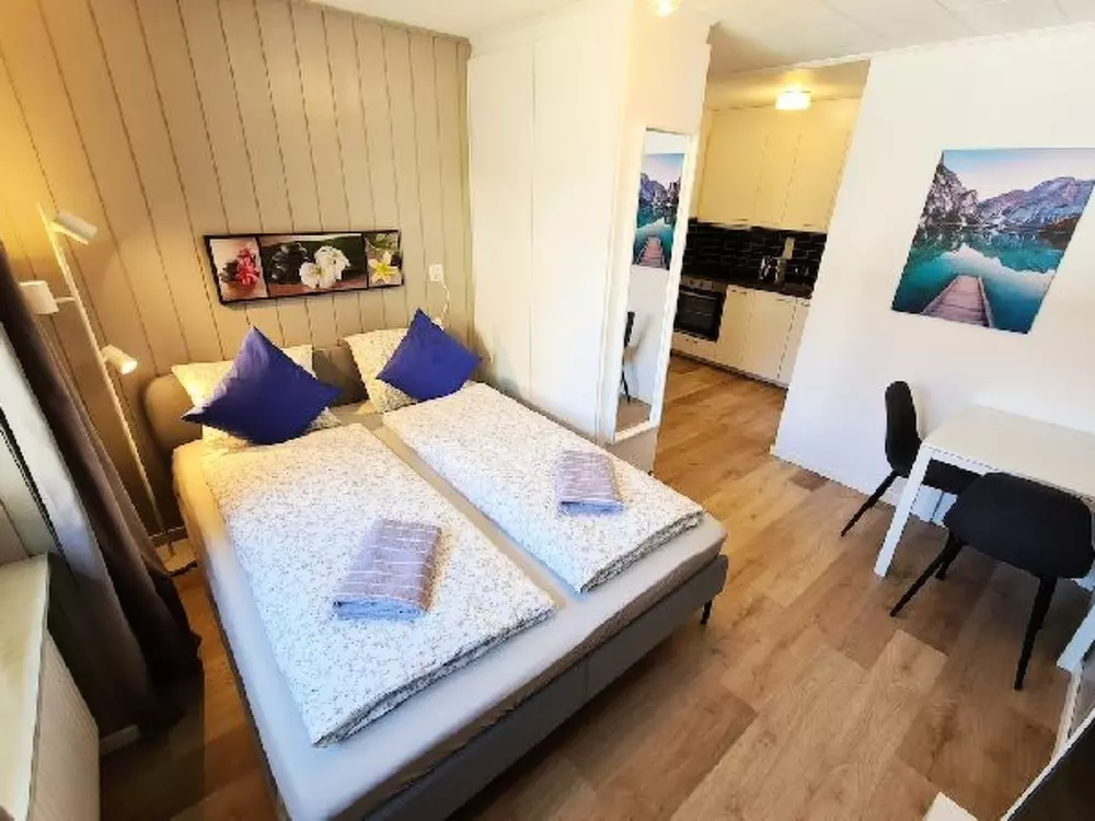 Résidence Alpine Studio