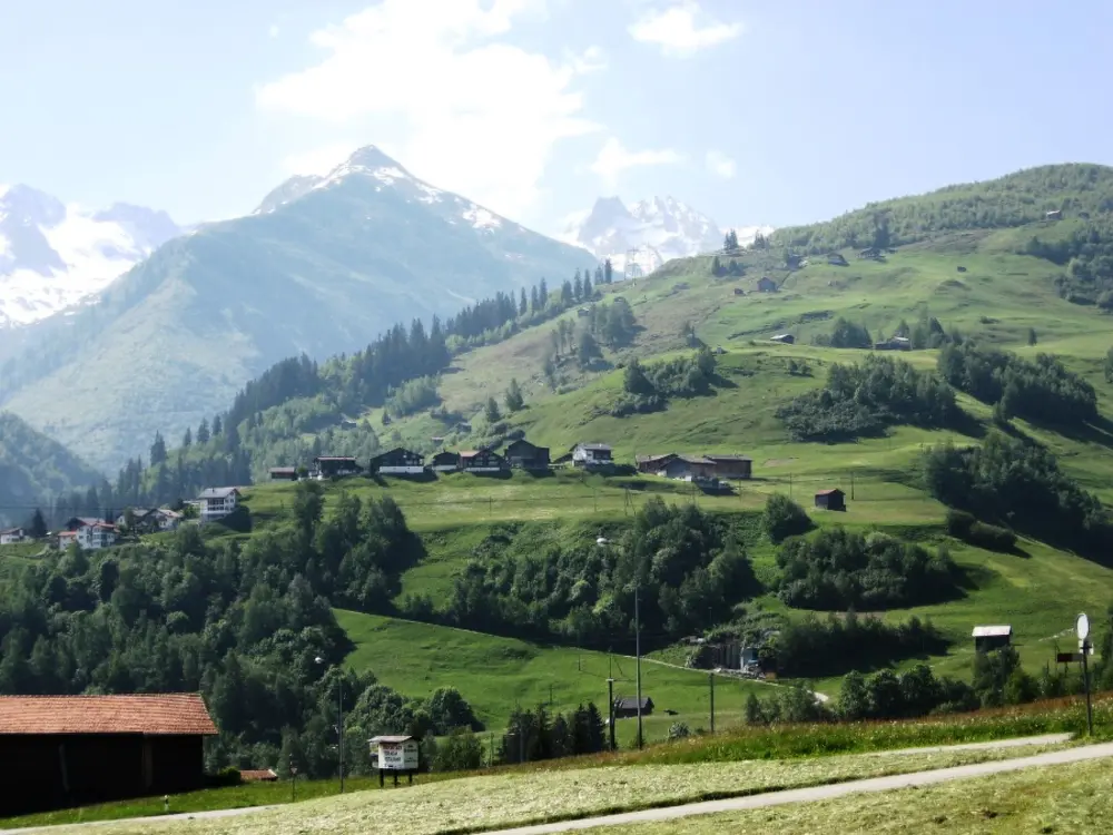 Résidence Casa Sulegl Rommel, (Disentis/Mustér).