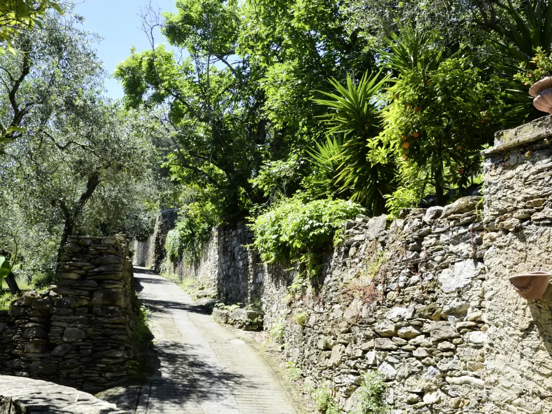Maison de Vacances Dolcedo