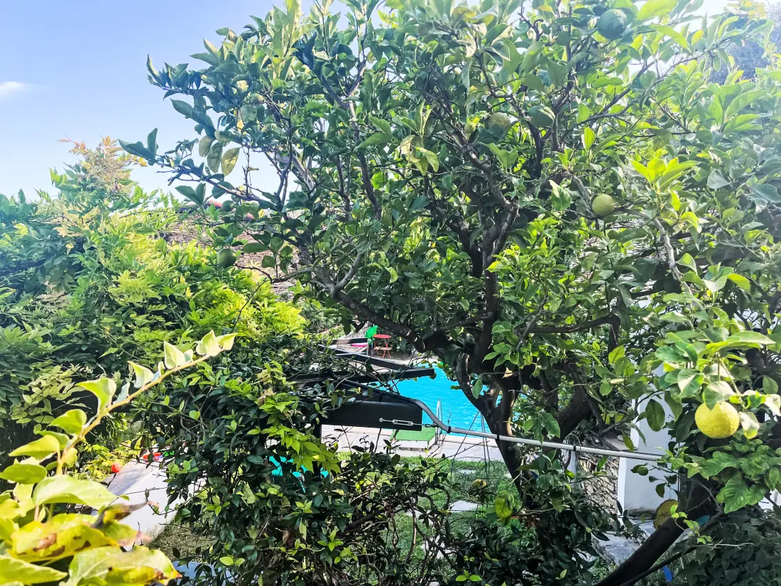Maison de Vacances Dolcedo