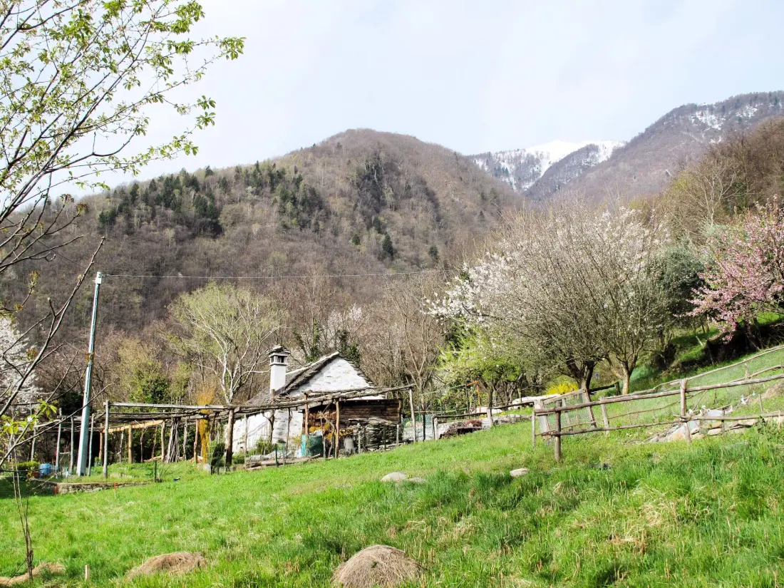 Maison de Vacances Domodossola