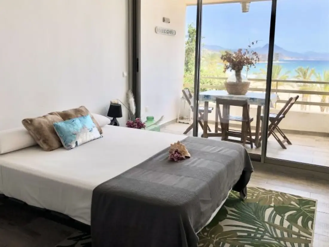 Résidence ESTUDIO PLAYA MUCHAVISTA