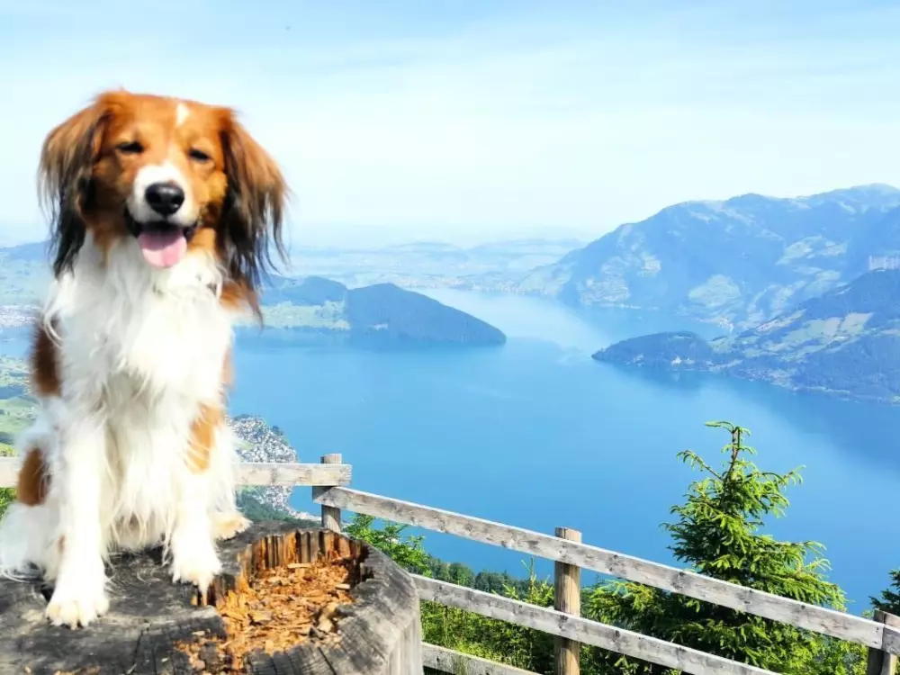 Résidence Chalet Hörler direkt im Ski- und Wandergebiet