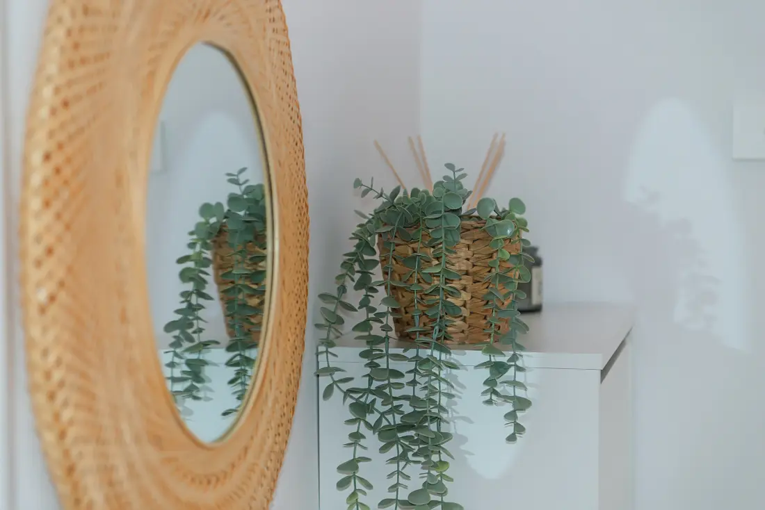 Appartements à Empuriabrava