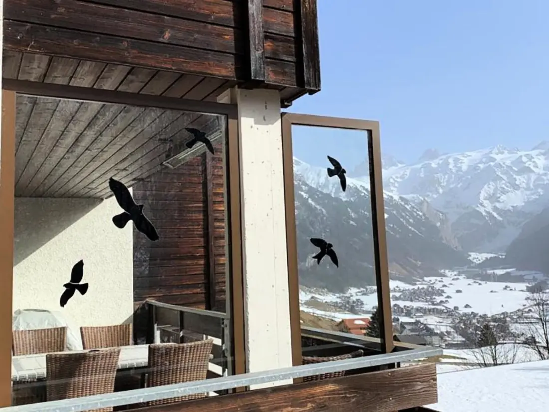 Résidence Chalet Murmeli Appartement/Fewo 6-Bettwohnung