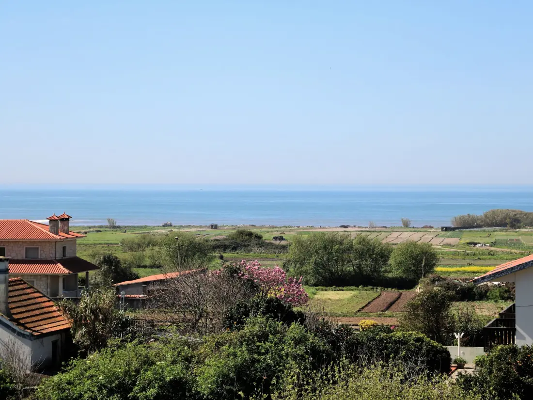 Maison de Vacances Esposende