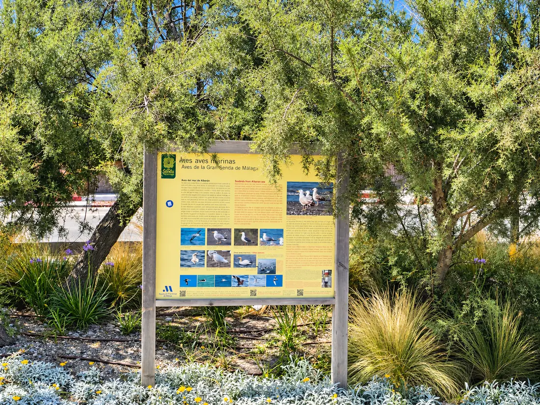 Appartements à Estepona