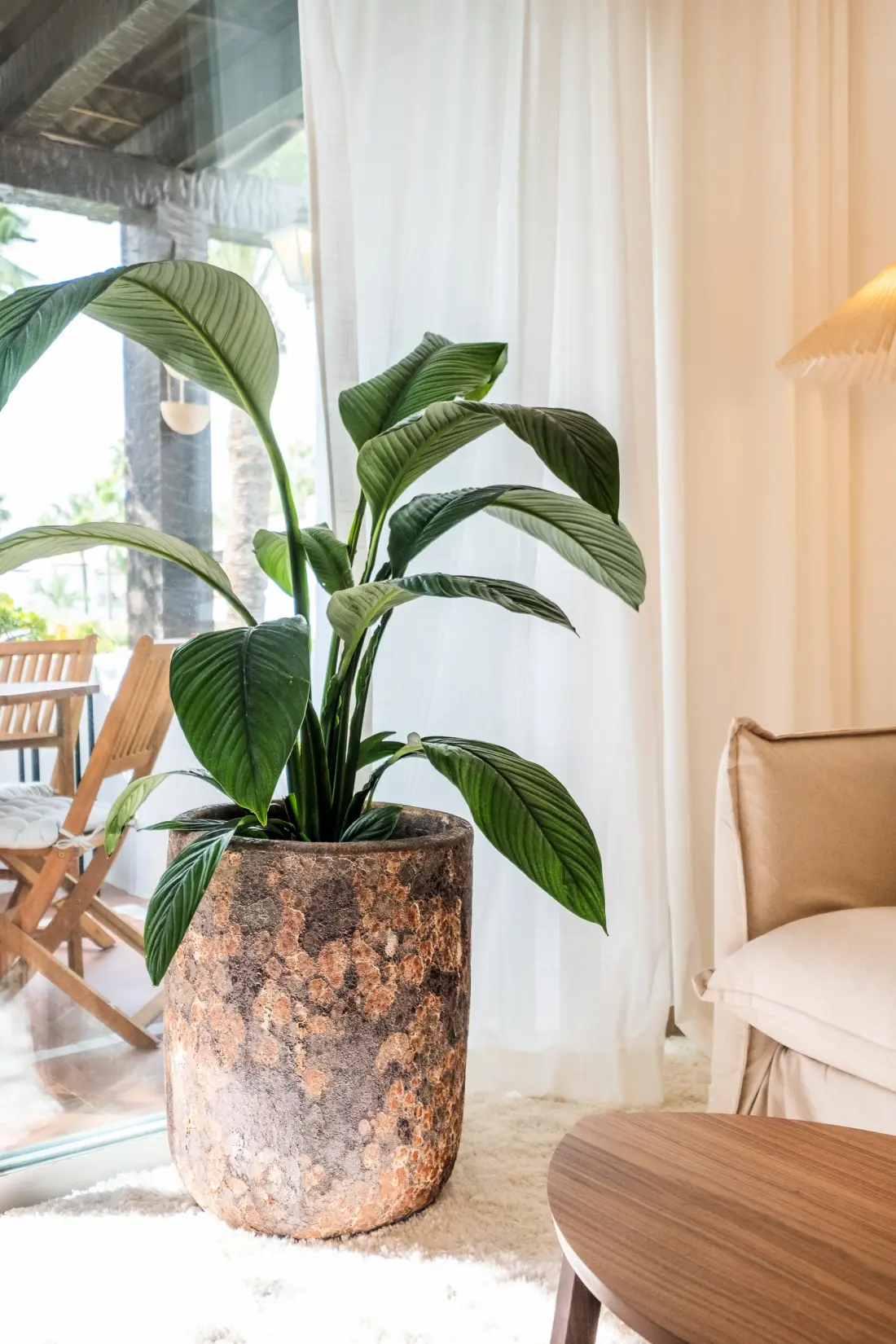 Appartements à Estepona