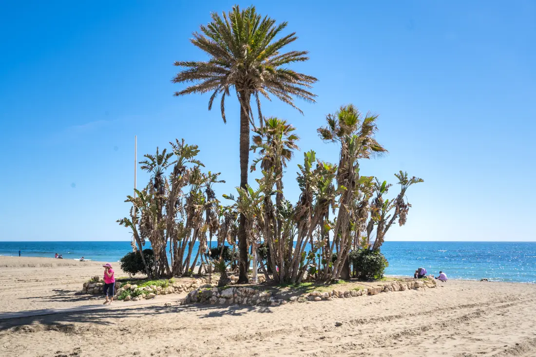 Appartements à Estepona