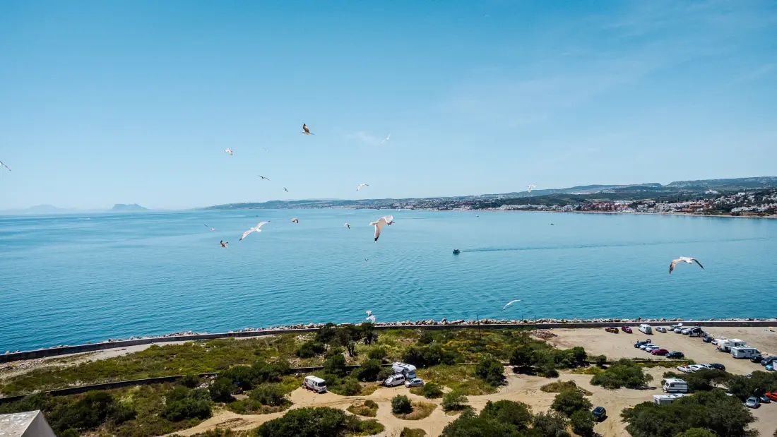 Appartements à Estepona