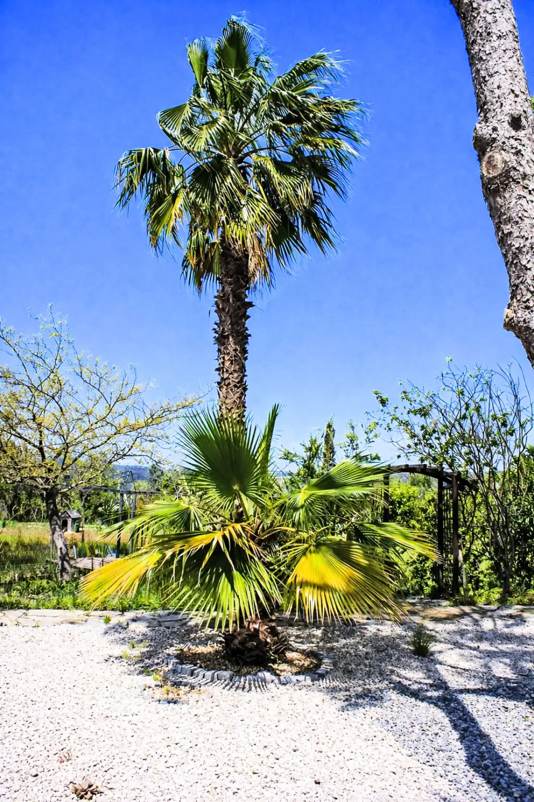 Maison de Vacances Estoi
